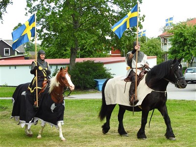 nationaldag